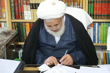 قلم های فاسد صهیونیستی به دنبال اسلام ستیزی است