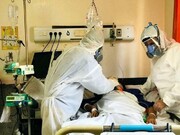 ۸۷ بیمار کووید۱۹ جان خود را از دست دادند
