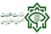 اسلامی جمہوریہ ایران کی  انٹیلیجنس نے پانچ جاسوس ٹیموں کو گرفتار کرلیا