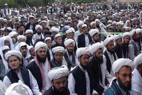 تحریک اسلامی افغانستان