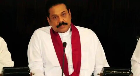 منع ذبح گاو در سریلانکا، اختلاف مسلمانان و بودایی ها را افزایش خواهد داد