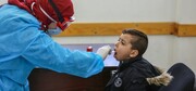 Palestine says 100,000 virus swabs damaged by Israel