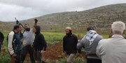 Israeli settlers assault two Palestinians near Nablus