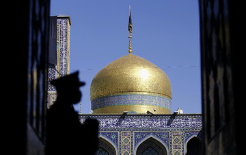 شرح حدیثی از عالم آل محمد پیرامون جایگاه و زیبایی احادیث حضرات معصومین علیهم السلام