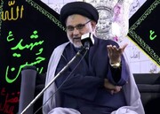 بنو امیہ کی مخالفت میں بنی عباس کا ساتھ نہیں دیں گے، علامہ حسن ظفر نقوی