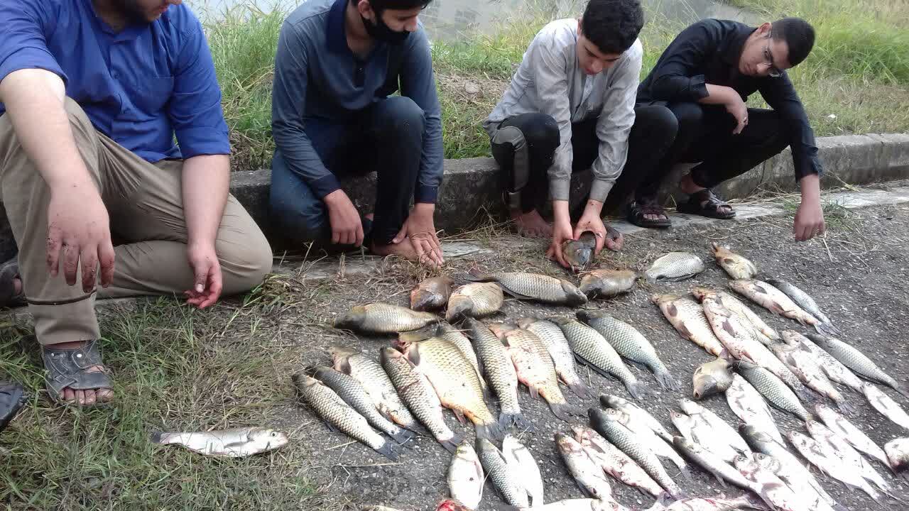 پرورش ماهی در یک مدرسه علمیه + عکس