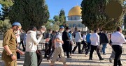 Israeli occupation police cover Jewish settlers’ tours at Aqsa Mosque for more hours a 'dangerous step'