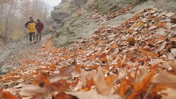 قاب پاییزی تهران در برنامه تهرانگرد