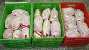 توزیع ۲ هزار کیلو مرغ منجمد میان خانواده های نیازمند