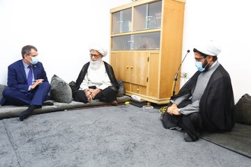 آیت الله العظمی بشیر نجفی بر ضرورت احترام به مقدسات ملت ها تأکید کردند