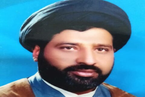 ڈاکٹر سید محمد نجفی