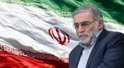 اسلامی جمہوریہ ایران کے مایۂ ناز ایٹمی سائنس داں دہشت گردانہ حملہ میں شہید