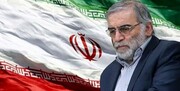 ایران این قدرت را دارد که با پیشرفت خود این خسارت را جبران کند