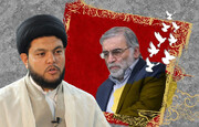شہید فخری زادہ کا قتل عالمی امن کو سبوتاژ کرنے کی سازش ہے، حجۃ الاسلام سید احمد رضوی