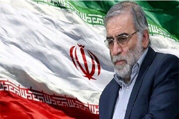 فیلم | به کمپین امت انقلابی برای تقاص خون شهید فخری زاده بپیوندید