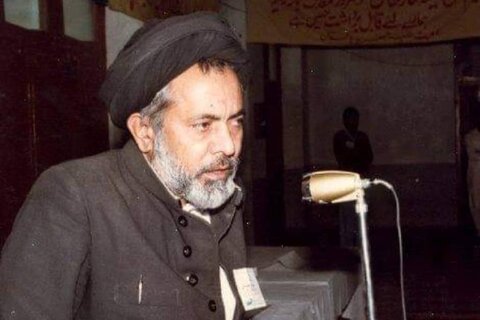 علامہ سید صفدر حسین نجفی