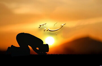 احکام شرعی | موارد و کیفیت سجده سهو