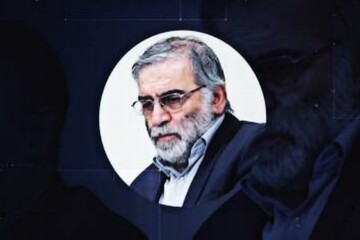 بررسی دیدگاه های شهید فخری زاده در حوزه فیزیک و فلسفه اسلامی