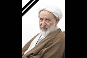 پیام رئیس مرکز خدمات حوزه‌های علمیه در پی درگذشت آیت‌الله یزدی