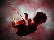 The child who is in its mother’s womb will inherit if it is born alive