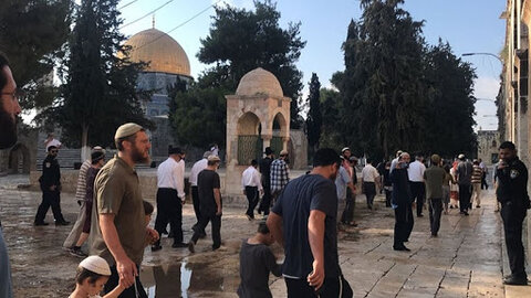 More than 140 extremist Jewish settlers defile Aqsa Mosque under tight police guard