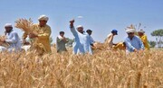 یومِ کسان، زراعت معیشت کے لئے ریڑھ کی ہڈی کی حیثیت رکھتی ہے، علامہ کرم علی حیدری