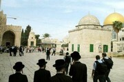 اسرائیل آباد کاروں کی ایک بار پھر مسجد اقصی پر یلغار