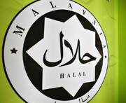 Fake Halal meat scandal in Muslim-Majority Malaysia fuels anger