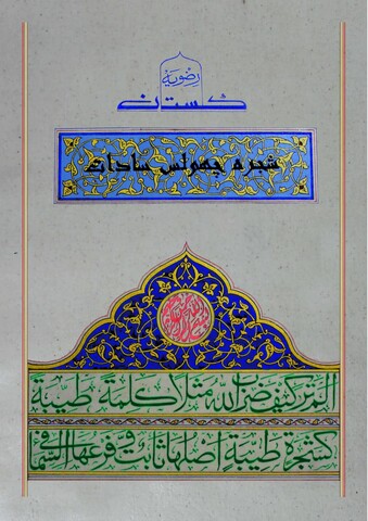 شجرۂ گلستان رضویہ، چھولس سادات "نوئیڈا" ہندوستان