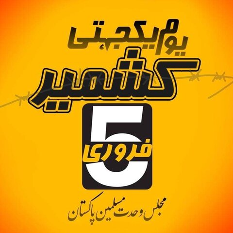 کشمیری مسلمانوں کی حمایت میں ہفتہ یکجہتی کشمیر منانے کا اعلان، مجلس وحدت مسلمین پاکستان