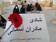 برگزاری پویش شادی مادران آسمانی توسط مدرسه علمیه خواهران جم استان بوشهر