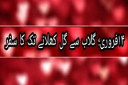 ۱۴فروری؛ گلاب سے گل کھلانے تک کا سفر