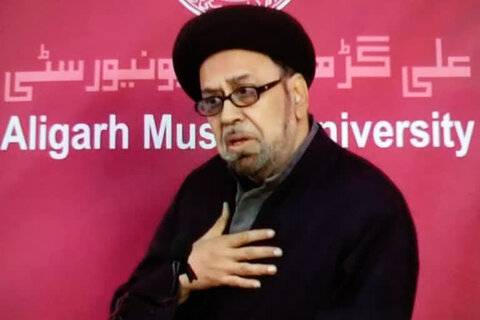 پروفیسر علی محمد نقوی