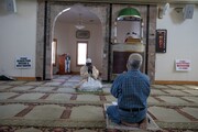 مرکز اسلامی در نیوهمپتون، انبار غذای اضطراری جدید تاسیس کرد