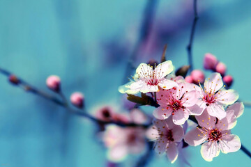 فیلم/ مأیوس نشو! بهاری خواهد آمد