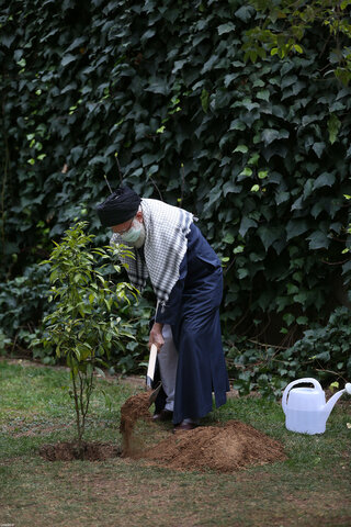 کاشت دو نهال میوه در روز درختکاری توسط رهبر معظم انقلاب