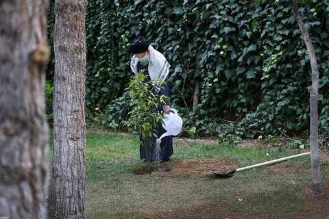 کاشت دو نهال میوه در روز درختکاری توسط رهبر معظم انقلاب