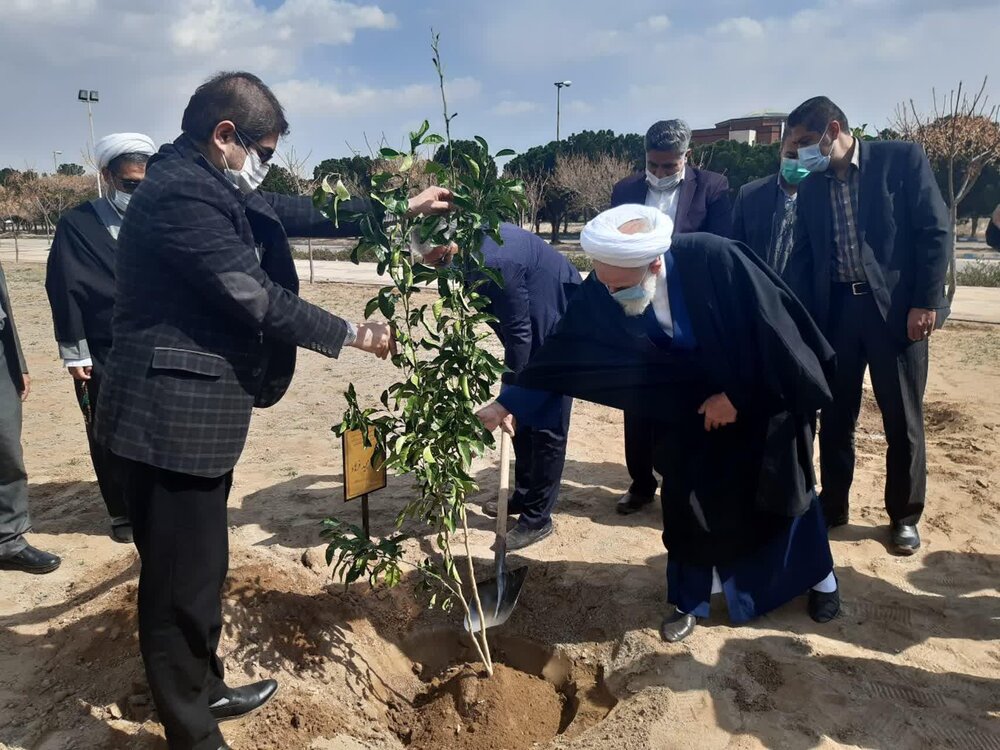 امام جمعه کاشان سه اصل نهال در دانشگاه علوم پزشکی کاشان غرس کرد