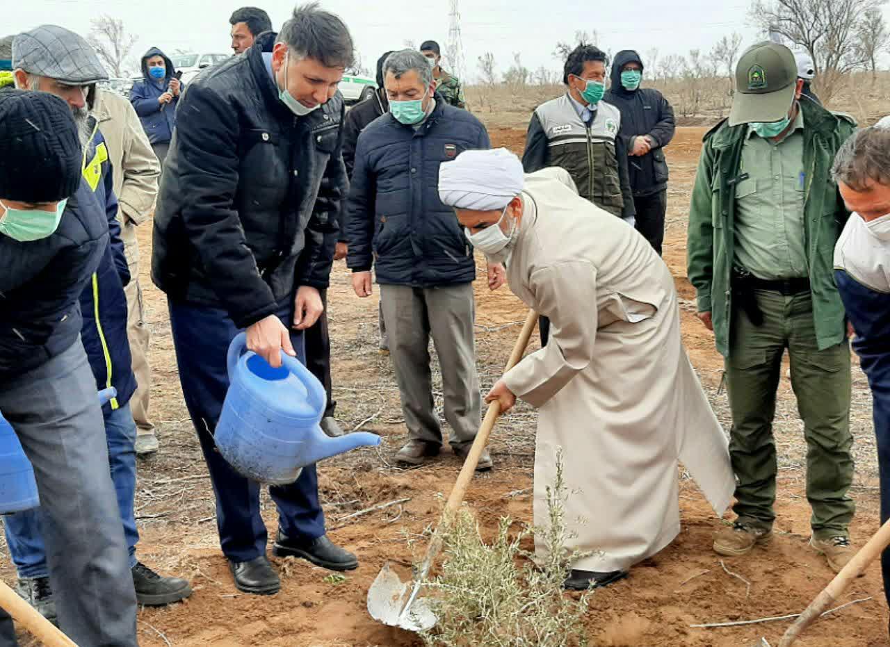 دین مبین اسلام درخت را نماد آبادانی و مظهر زندگی می داند