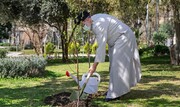 تصاویر/ کاشت یک اصله نهال میوه توسط رئیس قوه قضائیه