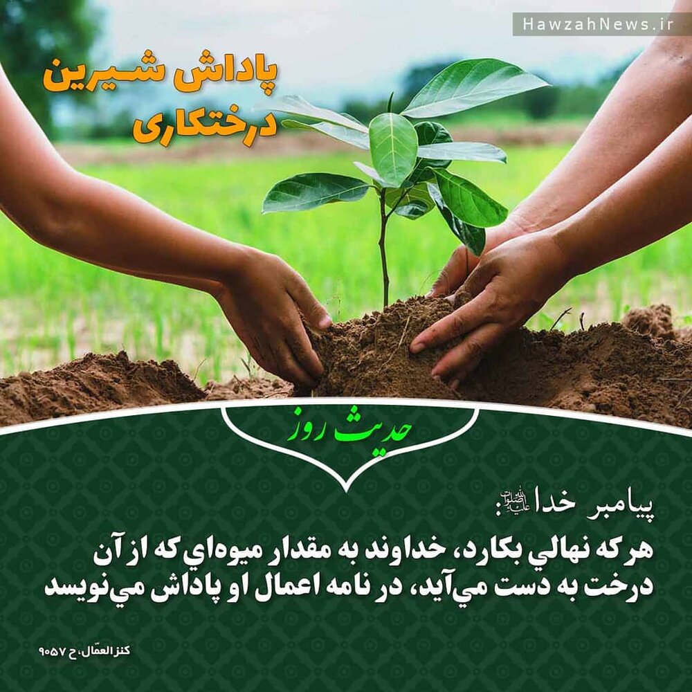 عکس نوشت | پاداش شیرین درختکاری