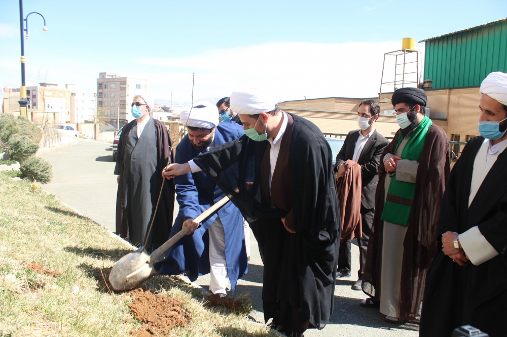 مراسم درختکاری در مدرسه امام شافعی سنندج برگزار شد