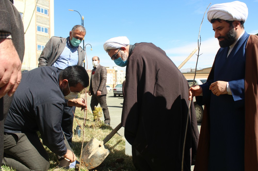 تصاویر/ مراسم درختکاری در مدرسه امام شافعی سنندج