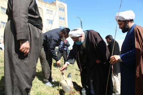 مراسم درختکاری در مدرسه امام شافعی سنندج