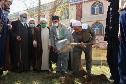 مراسم درختکاری در مدرسه امام شافعی سنندج