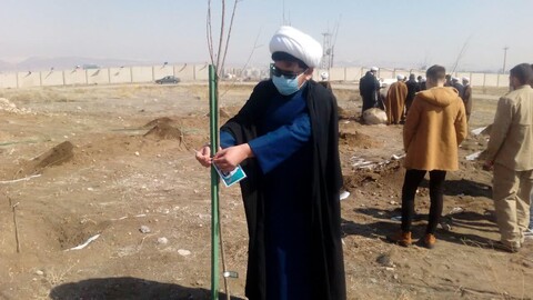 تصاویر / درختکاری طلاب در تبریز