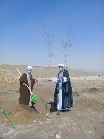 درختکاری طلاب در تبریز