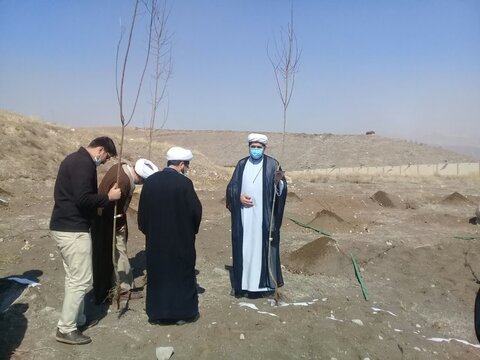 درختکاری طلاب در تبریز