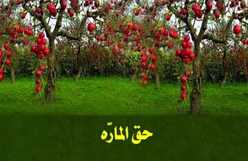 احکام شرعی | پنج شرط حق المارّه