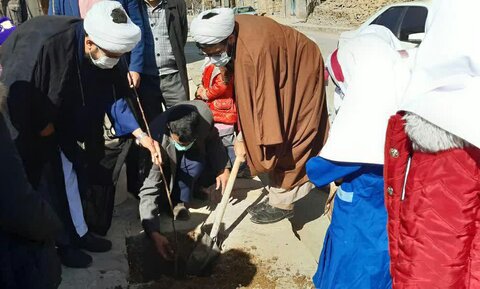 تصاویر/ کاشت نهال به مناسبت هفته درختکاری توسط روحانیون و طلاب بیجاری